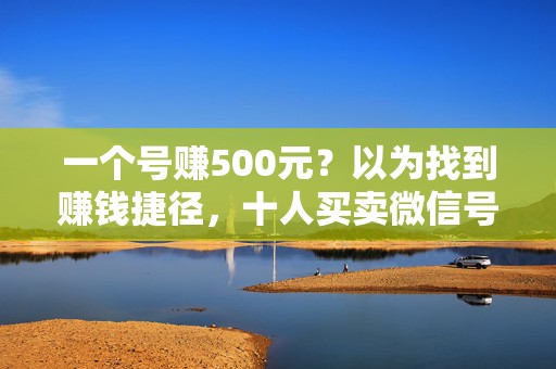 一个号赚500元？以为找到赚钱捷径，十人买卖微信号获刑