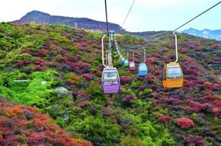 景区焕新：遇见更美好的旅途