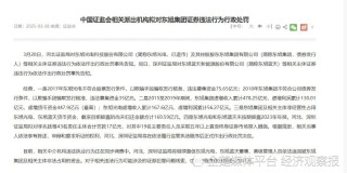 拟开17亿元罚单、19人终身禁入！监管层揭开“东旭系”之“四宗罪”