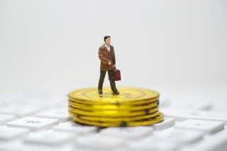 偏股基金的投资策略有哪些？这些投资策略在不同市场环境下如何调整？