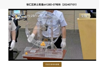 上海单价最贵地块诞生！绿城48亿拿下徐汇滨江“小米地块”