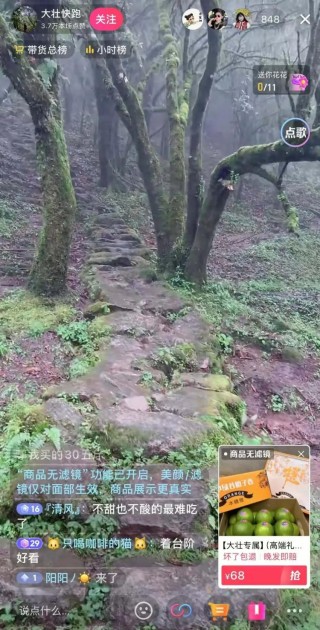 从刷爆全网到回归平静，哀牢山的“冷热15天”
