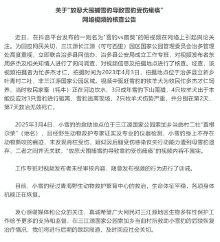 有人放恶犬围捕雪豹致其受伤瘫痪？三江源国家公园通报
