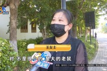 吃完饭一出包厢被大老鼠吓坏了，当事人：退一赔十