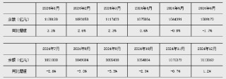 2025年1月金融统计数据报告