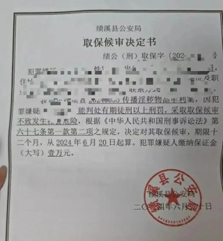 小说“涉黄”被跨省抓捕后，一个海棠作者的自白