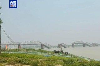 全球近十年大陆最强震，已致缅甸144人遇难！地震来了如何避险？