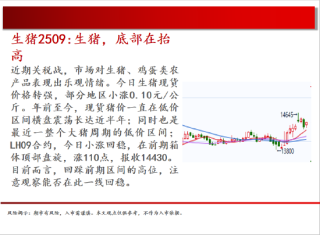 中天期货:橡胶均线之下震荡偏弱 纯碱继续回落