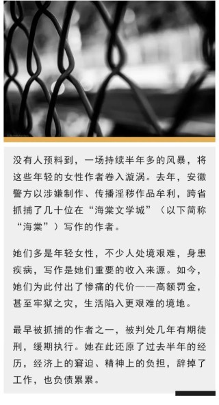 小说“涉黄”被跨省抓捕后，一个海棠作者的自白