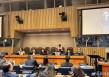 刘国梁受邀成为“联合国运动大使”线上出席闭幕仪式