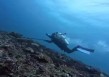 30岁中国女游客在印尼潜水寻找GoPro时溺亡，生前曾与水下暗流搏斗