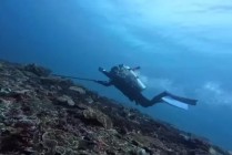 30岁中国女游客在印尼潜水寻找GoPro时溺亡，生前曾与水下暗流搏斗