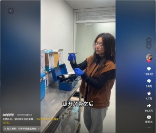 放假了，但想体验他们上班的一天