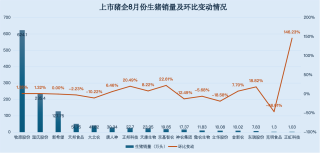 8月猪价创新高：三大猪企销售收入齐增，温氏股份、新希望猪价突破20元大关