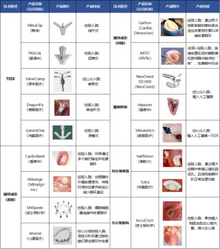 全球最赚钱医疗器械！心脏瓣膜挤入前三