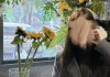 女孩输头孢过敏，输液室呼救无医护响应，自行拔针仍不幸身亡