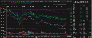 创意信息遭遇诈骗导致财报差错，投资者能否索赔
