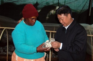 心相近丨“中国草”：送给世界的礼物