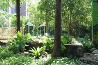 实现“双碳”目标，城市更新中的所为与可为