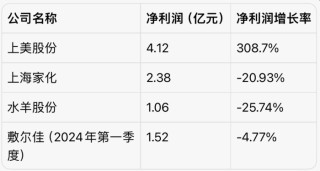 韩束母公司成2024上半年美妆业最大赢家