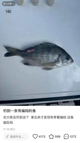 钓到条“带编码”的鱼，担心是谁的“毕业论文”？出处找到了……