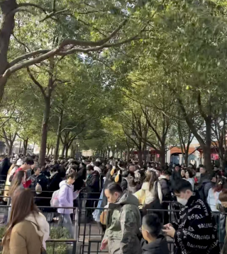 春节假期前三天上海多个景点“人从众”，这个郊区“水集”人流堪比市区