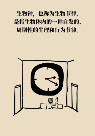 生物钟乱了会缩短寿命，如何调准你的“钟”？