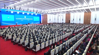 第七届进博会开幕，各国参展商盛赞：投资中国就是投资未来