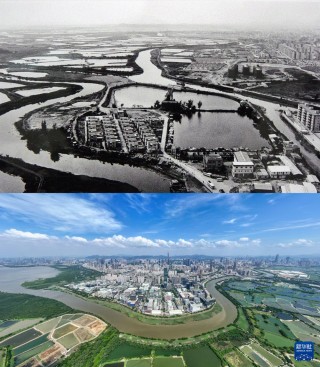 城市巡礼｜深圳：山海寄梦创新不息