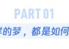 睡觉总做梦是睡眠质量差？梦到这些事，才要小心