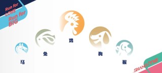 上马抽签结果公布：马拉松项目中签率11.2%，最大年龄75岁