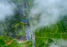 好评中国丨从茶烟袅袅中窥见文明脉络