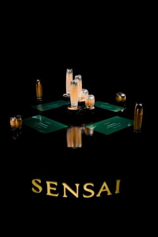 SENSAI绚丽耀颜系列全新升级，巴黎世家新祥云结亮相｜是日美好事物