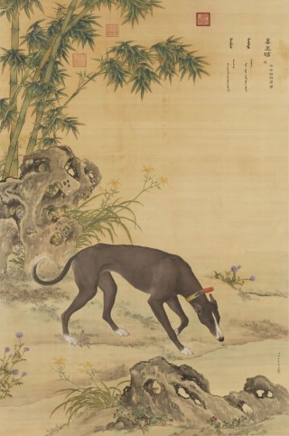 牧草之王苜蓿的江南驯化史