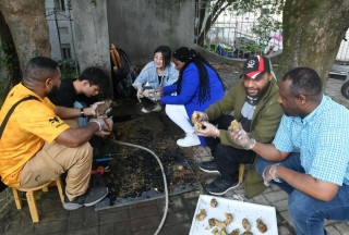 心相近丨“中国草”：送给世界的礼物