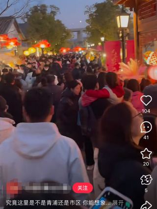 春节假期前三天上海多个景点“人从众”，这个郊区“水集”人流堪比市区