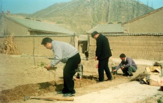 心相近丨“中国草”：送给世界的礼物