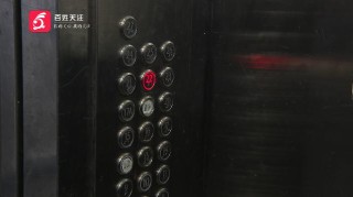 熊孩子乱撒尿导致电梯停运！400多户业主气麻了，物业回应