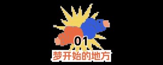 张伟丽：血汗钱，1272万