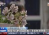收款不退、丢卡不补？下月起这些霸王条款统统无效