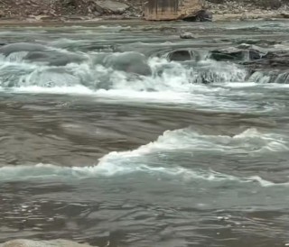 黄河变清了！壶口瀑布景区回应：春天雨水少，河流两岸绿化好，夏天会变黄