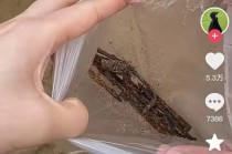女子在沙滩玩20分钟捡了小半兜生锈铁钉