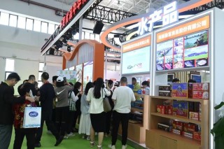 消博会上各地亮出“首发经济”明牌