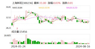 上海新阳上半年营收增长2成