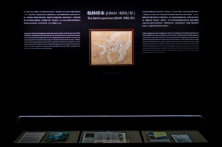 始祖鸟新展还原化石挖掘，巴黎世家上海新店启幕｜是日美好事物