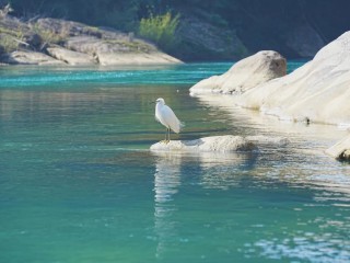 这里是武夷山