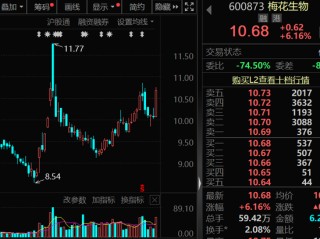 300378，AI收入暴增超102%！机构密集关注