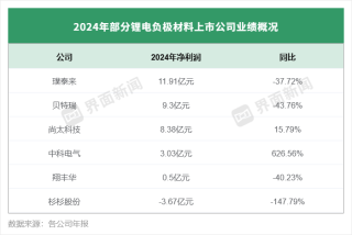 负极材料龙头业绩分化，有的陷入上市首亏、有的净利猛增6倍
