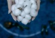 海证的业务范围是什么？海证在金融市场中的地位如何？