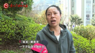 熊孩子乱撒尿导致电梯停运！400多户业主气麻了，物业回应